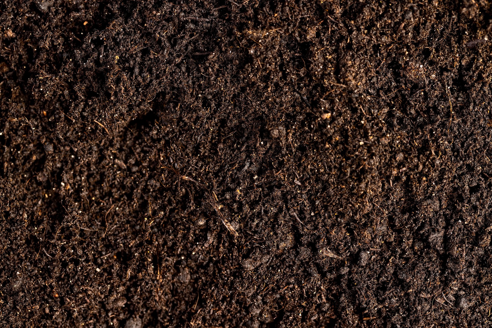 mixed soil with the addition of peat to increase fertility