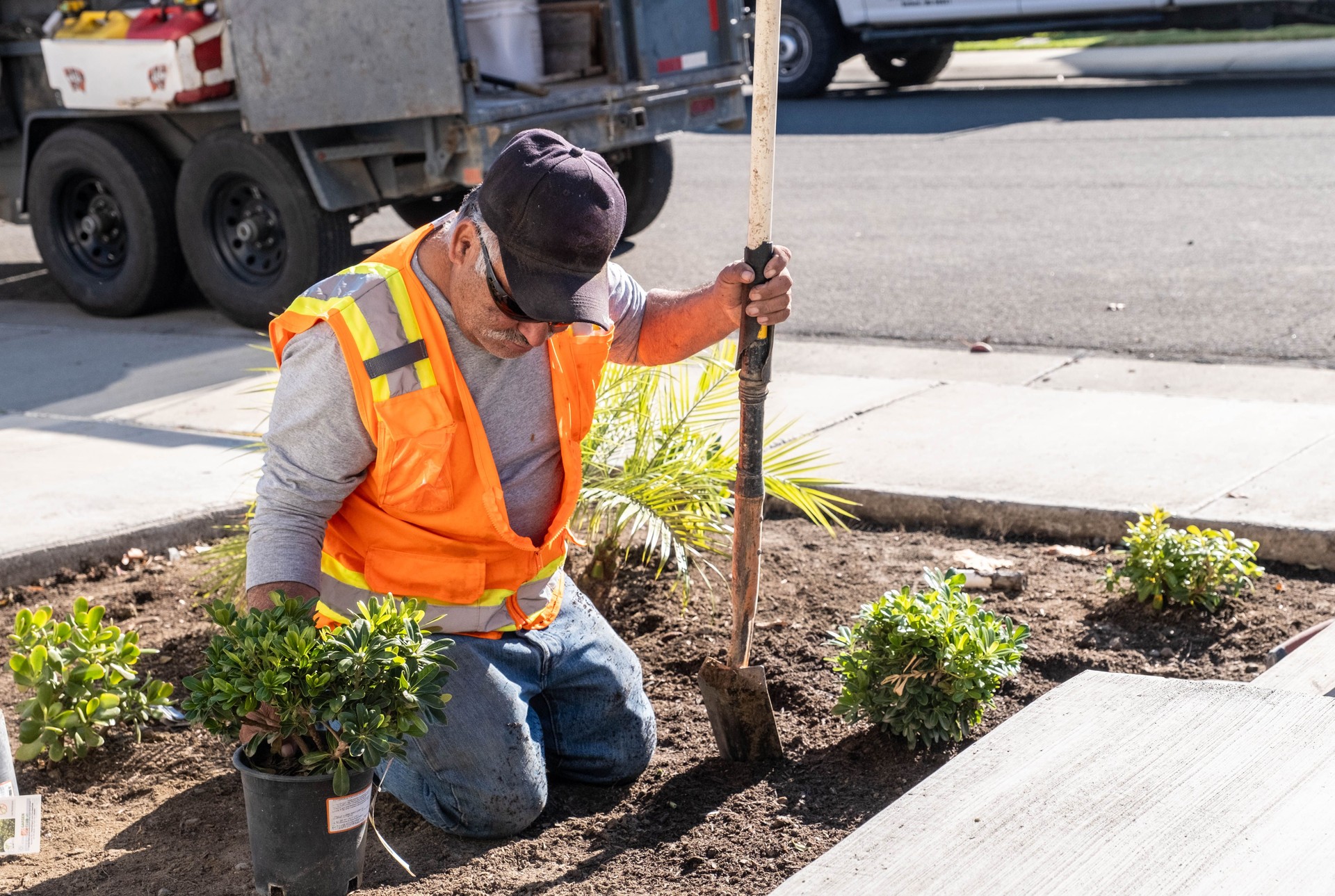 Hispanic Gardener kneeling planting new plants in front yard.